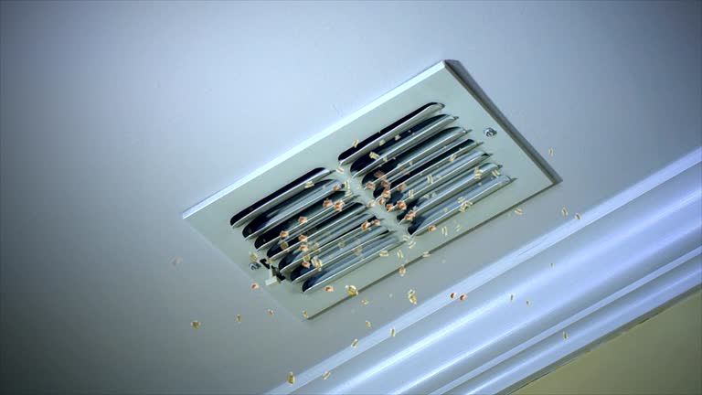Best Affordable HVAC Duct Cleaning  in Vineland, NJ