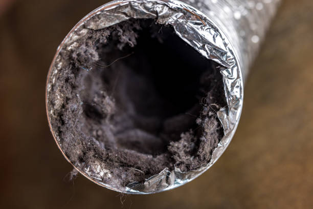 Best Duct Cleaning Specialists  in Vineland, NJ