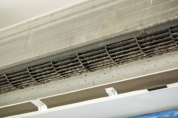 Best Ventilation Cleaning Services  in Vineland, NJ